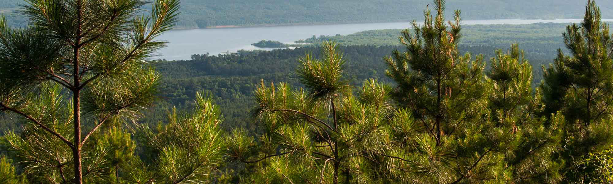 A lake in Arkansas